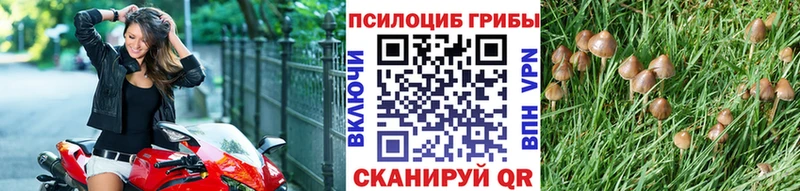 Псилоцибиновые грибы MAGIC MUSHROOMS  сайты даркнета как зайти  Пугачёв  купить наркотик 